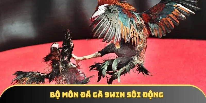 Bộ môn đá gà 9WIN sôi động Bộ môn đá gà 9WIN sôi động