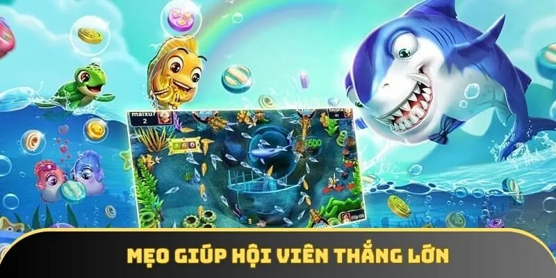 Mẹo giúp hội viên thắng lớn Mẹo giúp hội viên thắng lớn