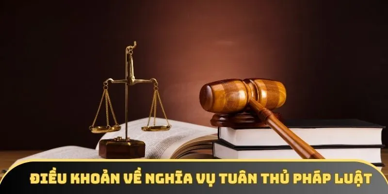 Điều khoản và điều kiện về nghĩa vụ tuân thủ pháp luật Điều khoản và điều kiện về nghĩa vụ tuân thủ pháp luật