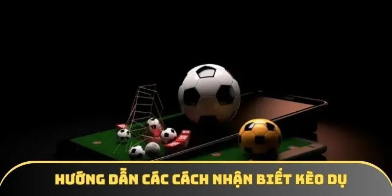 Hướng dẫn các cách nhận biết kèo dụ chuẩn chuyên gia Hướng dẫn các cách nhận biết kèo dụ chuẩn chuyên gia